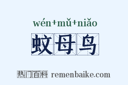 蚊母鸟是什么意思的图片